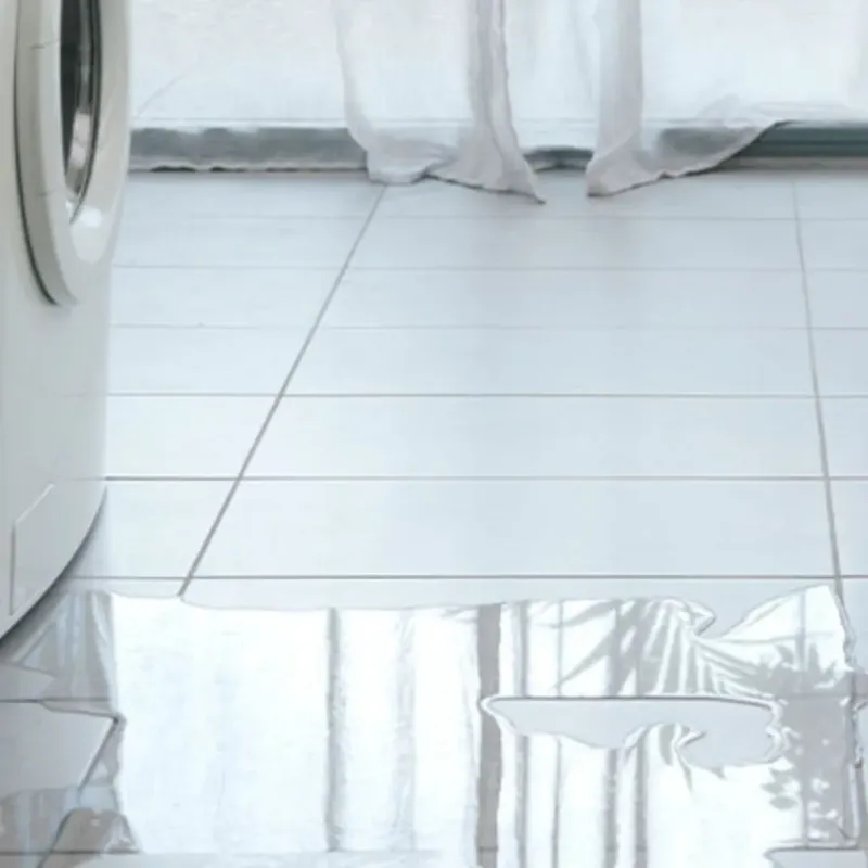 Appliance Leak Cleanup in Oakbrook, KY
